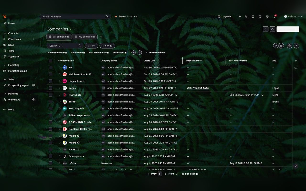HubSpot with the Ferns theme